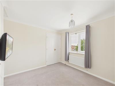 Picture 13